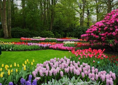 ������� ��������� �����������: ����� ������ ����� ��������� ���� ����� � ����