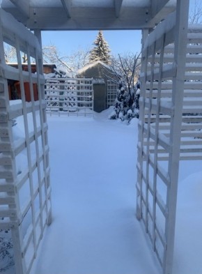 ��� ������� ��� ��� ������ � ����������� ����: ������ �� �������