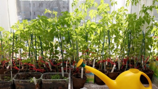 ��� �������� ����� ������� �������: ���� ������� ����� ��� ������� �������