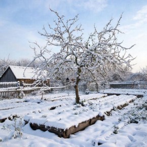 ��� ����������� ������ ������� � ������ �������: ������ ���������