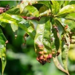 ������ � ������ � ����������: ��� �� �������� ������