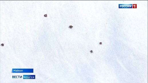 � ���������� ������������ ���������� �������� ���������� ������