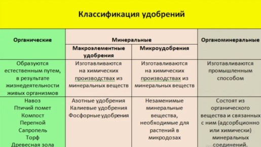 ����������� ������ ������������ �����������: �������� � ��������� � ��������