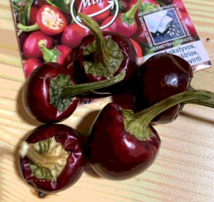 ����� ������: ����� ������ ������ � ����� ����