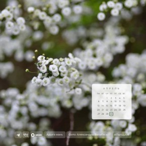 ������ ����!. 30 ������ � ������ ���������� ����������