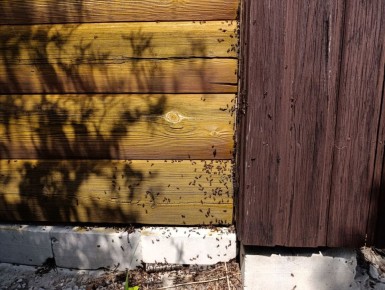 ����������� ��������� ������ � ��������� � ����: �������� ������ � ������� �������