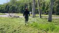 Коммунальные службы Майкопа продолжают очищать город от сорной растительности