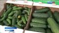 Агробизнес - одна из форм предпринимательства, которая успешно развивается в Адыгее