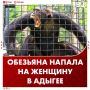 ����������� ������ �� ������ �������� � ������