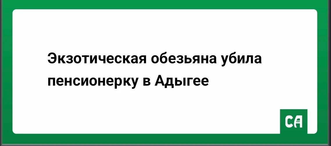 Экзотическая обезьяна убила пенсионерку в Адыгее