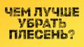 ������� � ����: �������� �������� ������ �����