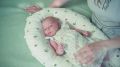 Первые месяцы жизни ребенка — важнейший этап его развития