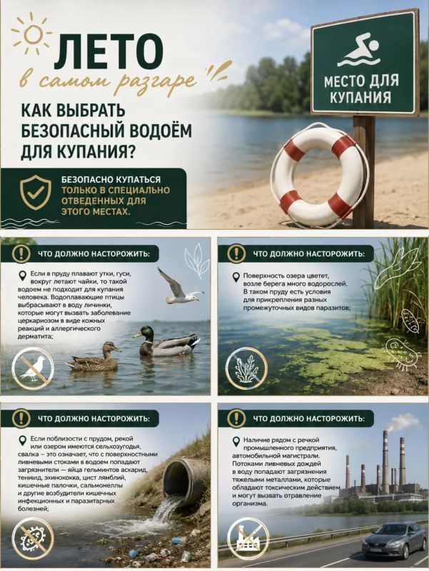 Лето в самом разгаре. Безопасно купаться можно только в специально отведенных для этого местах