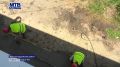 � ���� ���������� ������������������ ������ ���� ����������� ������ ����� � 15 ����� ����� ������ ������� ��������