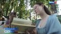 Герои сказок Евгения Шварца ожили в Свято-Михайло-Афонском монастыре на слёте юных разведчиков, организованном дружиной "Майкоп"