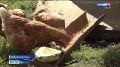 � ���� ������� ������������ ���� ����� � ������ ��������� ����������