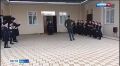 ���� �� ������ ������� ��� ����������� � ������, �� ������ ��� ����������, ��������� 31,14 %